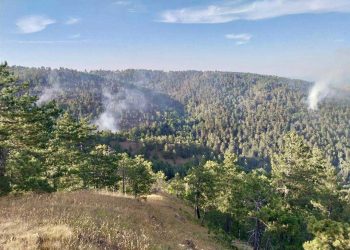 Požar na Divčibarama, dim iznad borove šume na Tometinom polju