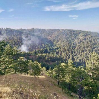 Požar na Divčibarama, dim iznad borove šume na Tometinom polju