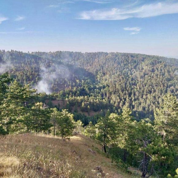 Požar na Divčibarama, dim iznad borove šume na Tometinom polju