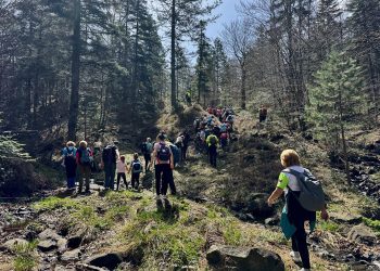 Grupa planinara i porodica u šetnji kroz šumu na Divčibarama tokom proleća, na jednoj od uređenih pešačkih staza.