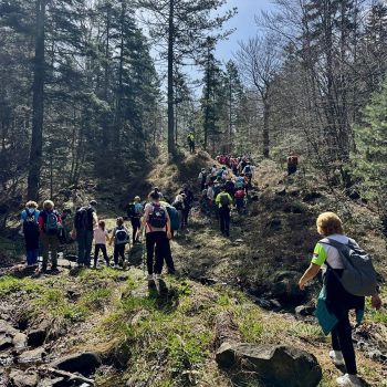 Grupa planinara i porodica u šetnji kroz šumu na Divčibarama tokom proleća, na jednoj od uređenih pešačkih staza.